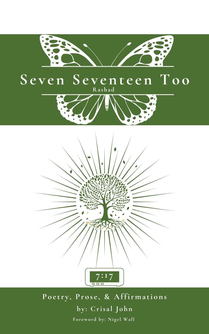 Seven Seventeen Too book cover